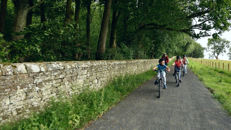 Cycling at Wallington, Northumberland